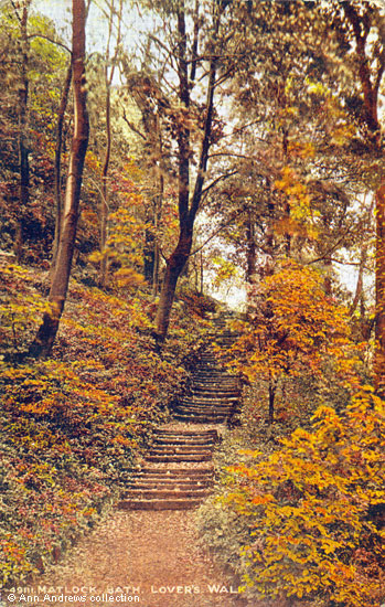 Matlock Bath : Lovers' Walk, autumn