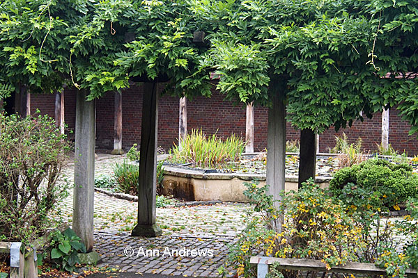 View through the pergola