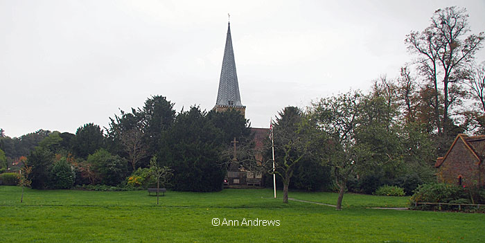 from across the park